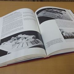 洋書 Gustav Vigeland mennesket og kunstneren av Tone Wikborg グスタフ・ヴィーゲラン 彫刻 古本 札幌市 白石区 の画像