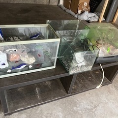 差し上げます！！