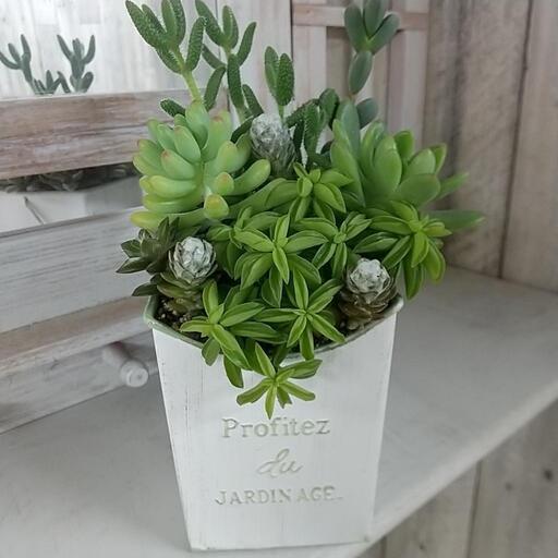 多肉 寄せ植え お洒落なブリキ缶