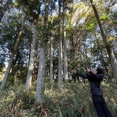 ツリーハウスを一緒に作りませんか
