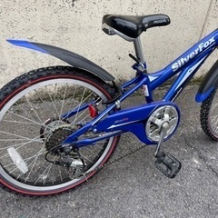 自転車に乗れなかった50代おばさんが、クロスバイクに挑戦する