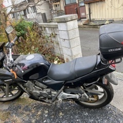 ゼルビス250 貴重