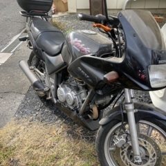 ゼルビス250 貴重の画像