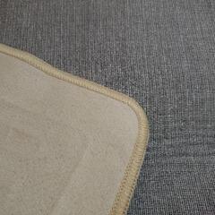 タイガー電気カーペットの画像