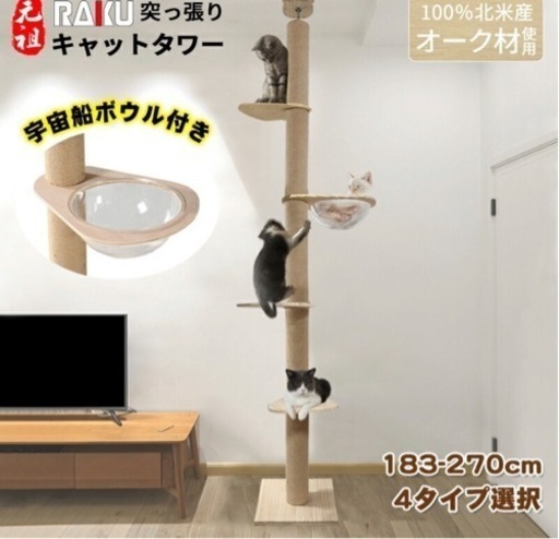 キャットタワー✩.*˚
