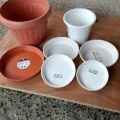 プラ鉢&鉢受け皿