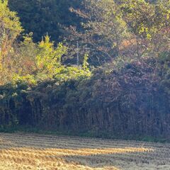 栃木県日光市大沢町　不動産0円物件 #114 − 栃木県