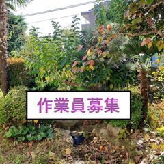 除草作業      随時募集の画像