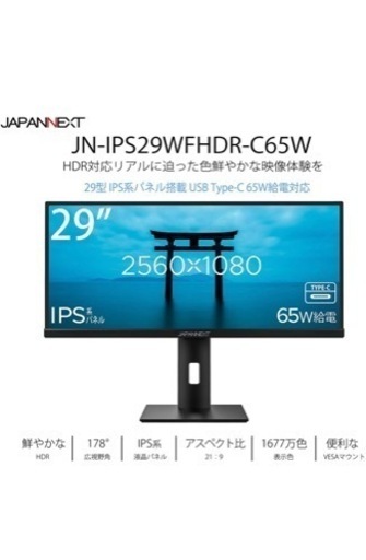 japannext ワイドモニター 29インチ type-c給電可能