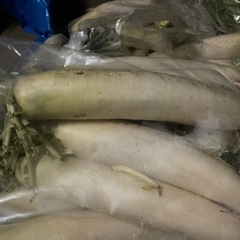 大根、キャベツ、白菜、赤カブ、ニンニク‼️