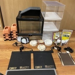 爬虫類飼育セット