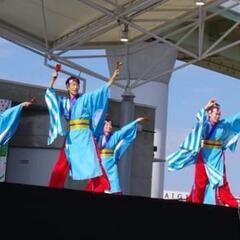 よさこい播州櫻組　メンバー募集