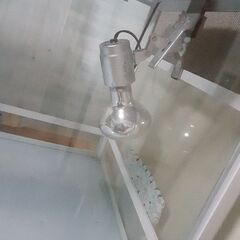 爬虫類鍵付きゲージ&ライト条件で15000円の画像