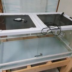 爬虫類鍵付きゲージ&ライト条件で15000円の画像