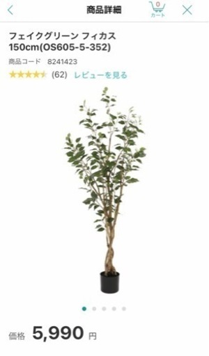 観葉植物　ニトリ