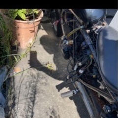 gb250 クラブマン　Hondaの画像