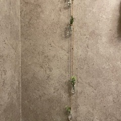 多肉植物　飾り　ガーランド