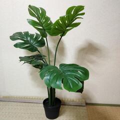 観葉植物 造花 モンテスラ