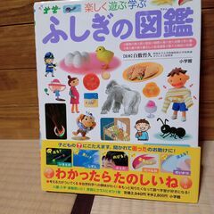 投稿ナンバー25   中古　ふしぎの図鑑