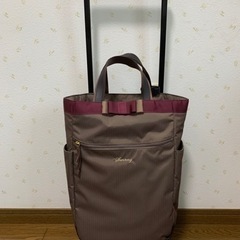 【再投稿】シルバーカート　ショッピングカート　スワニー