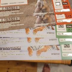 11月29日まで！ 那須どうぶつ王国入園チケット 大人3枚、子供...