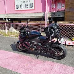 小型中型大歓迎します。