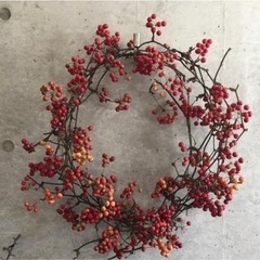 サンキライ　ajの画像