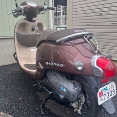 ホンダ　ジョルノ　AF70 インジェクション　8369キロ　原付　スクーターの画像