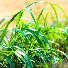 フォト撮ります📷✨ - その他
