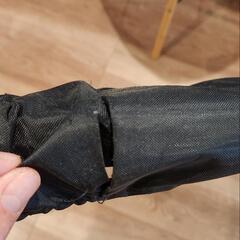 無料 早い者勝ち トランポリンの画像