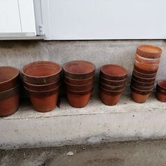 植木鉢差し上げます