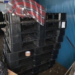 プラ製パレット12枚の画像