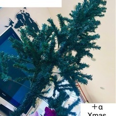 Xmasツリー150㎝♪の画像