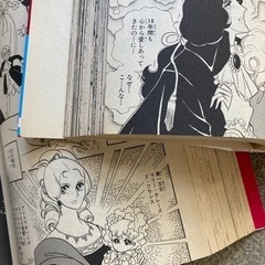 ベルサイユのばら 愛蔵版 全2巻の画像