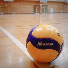 いっしょにバレーボールをしましょう(*^^*)