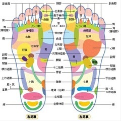 オイルフット講習（足裏のみ）7月2枠募集の画像