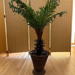 【引取限定】造花  人工観葉植物