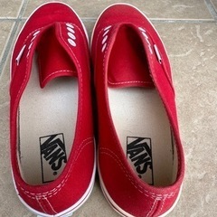 ｢決まりました｣VANS スニーカーの画像