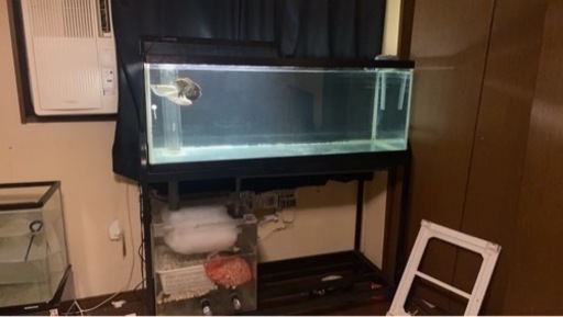 ガラス製 オーバーフロー水槽セット（ポンプは除く）