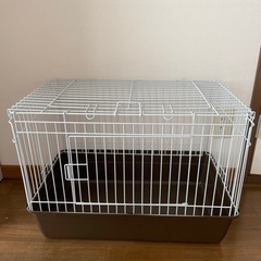 ハリネズミ飼育セット