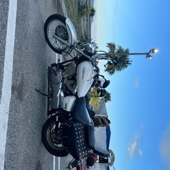 ドラックスター250！DS250の画像