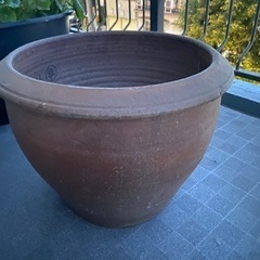 大型の鉢