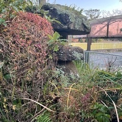 庭石、石灯籠　複数