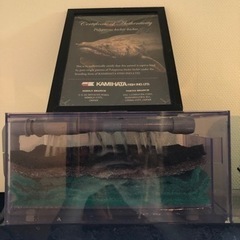 1200水槽 アクリル水槽 水槽フルセット 熱帯魚 大型魚 ポリプ ダトニオ