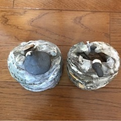 雛人形の画像