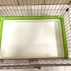 ペット　ゲージ　犬　猫　動物　犬小屋の画像