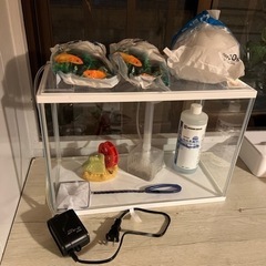[取引先決まりました]水槽・濾過フィルター・その他飼育セット