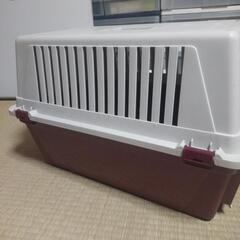 横須賀🆗店舗展示品❗️中型犬用 ハードキャリーの画像