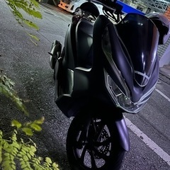 PCX81 125cc
