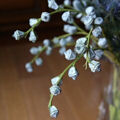 クリスマス2022　大きな木の実のアレンジメントの画像